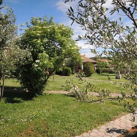 Pool-apartments Apartment